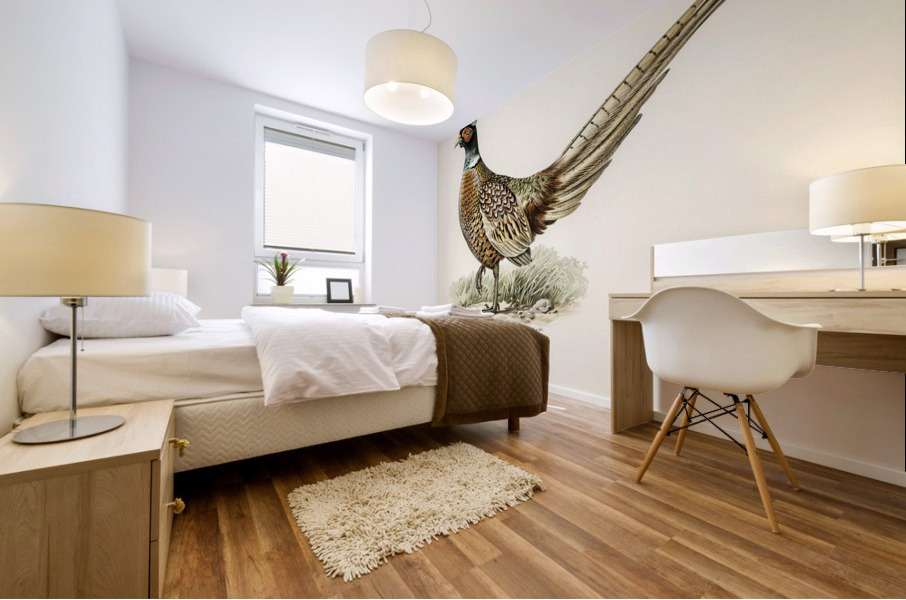 Ring-necked Pheasant phasianus colchicus torquatus Mural print