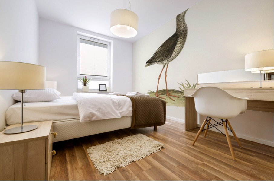 Common redshank Totanus totanus Mural print