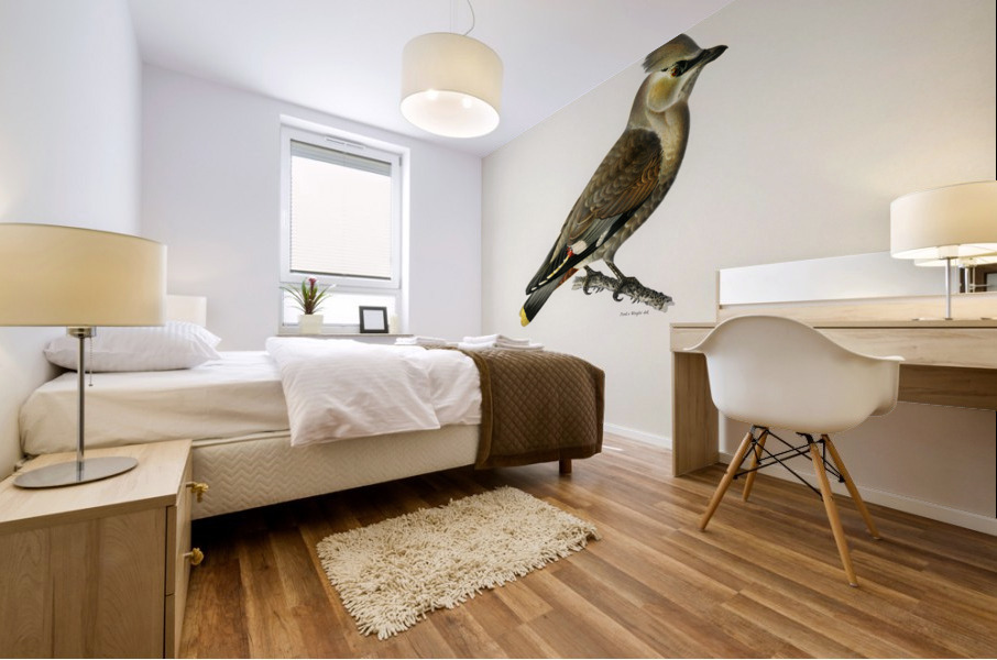 AMPELIS GARRULUS Mural print