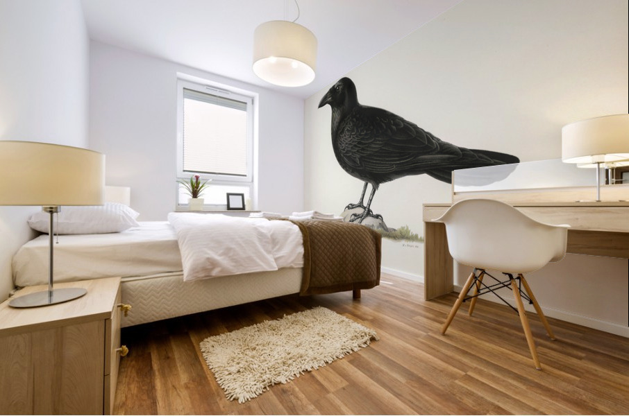Common raven Corvus corax Mural print