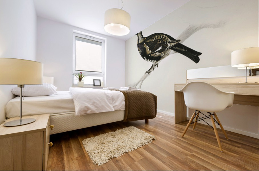 Hybrid between Black grouse and Willow ptarmigan Yrurus tetrix x lagopus lagopus Mural print