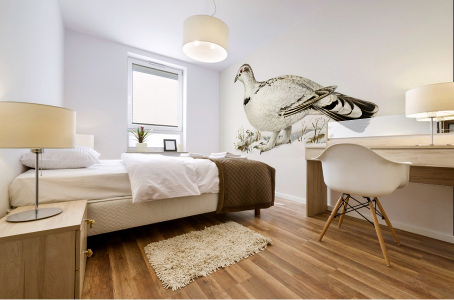 Hybrid between Western capercaillie and Willow ptarmigan Tetrao urogallus x lagopus lagopus Mural print