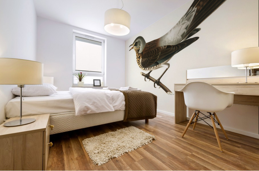Fieldfare Turdus pilaris Mural print