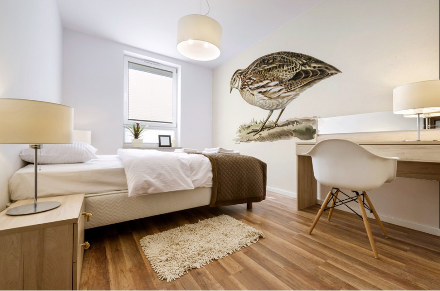 Common quail Coturnix coturnix Mural print