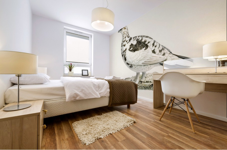 Rock ptarmigan Lagopus mutus Mural print