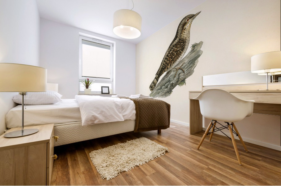 Eurasian wryneck Jynx torquilla Mural print