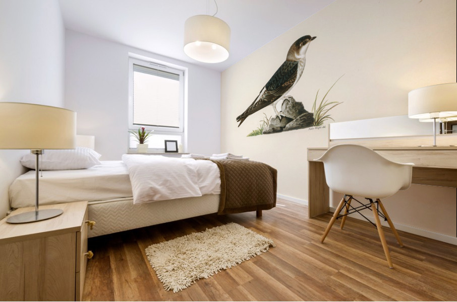 Young common house-martin Hirundo urbica Mural print