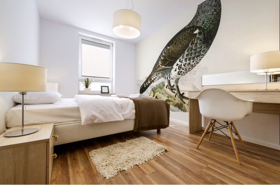 Tetrao Urogallus Mural print