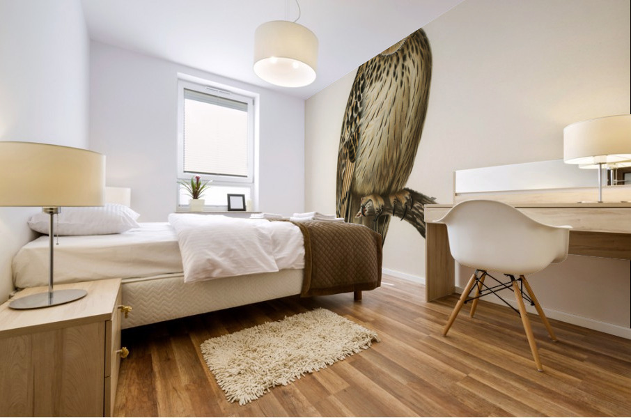 Short-eared Owl Asio flammeus Mural print