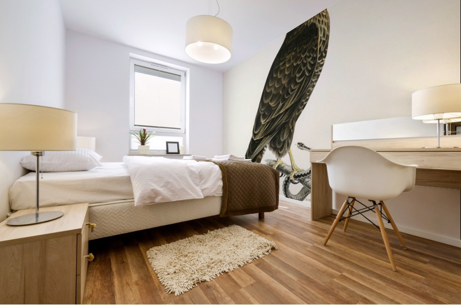 Common Buzzard BUTEO BUTEO Mural print