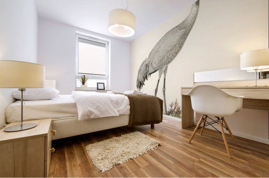 Common Crane Grus Grus Mural print