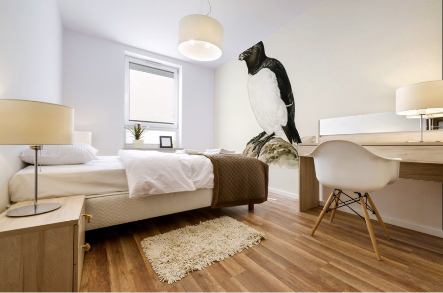 Razorbill Alca torda Mural print