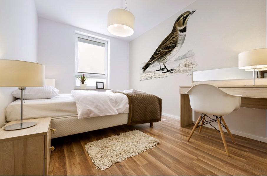 Horned lark Eremophila alpestris flava Mural print