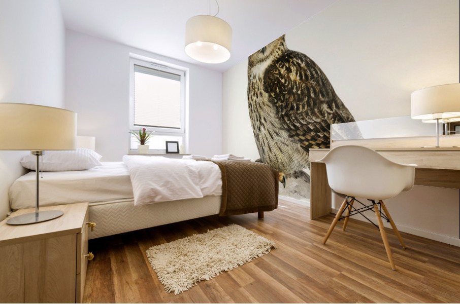 Eurasian eagle-owl BUBO BUBO Mural print