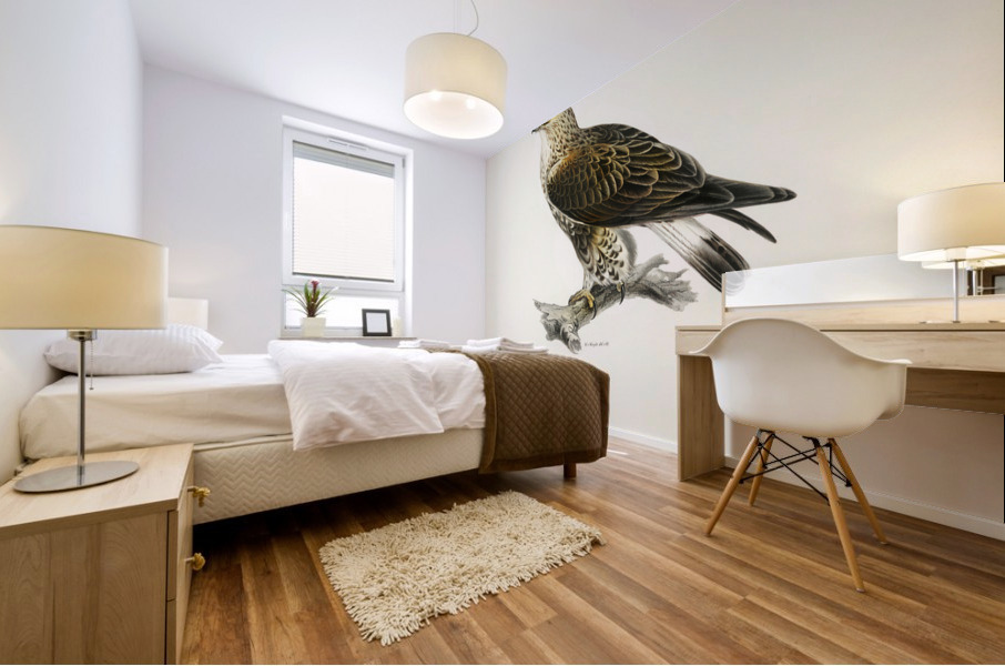 Rough-legged Hawk TRIORCHIS LAGOPUS Mural print