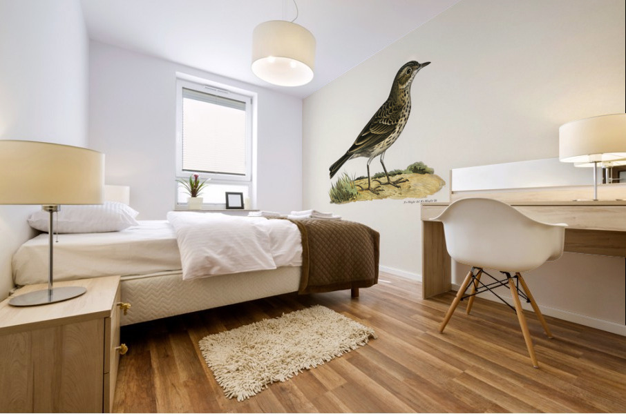 Meadow pipit Anthus pratensis Mural print