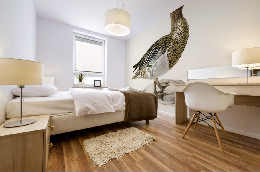 Garganey male Anas querquedula Mural print