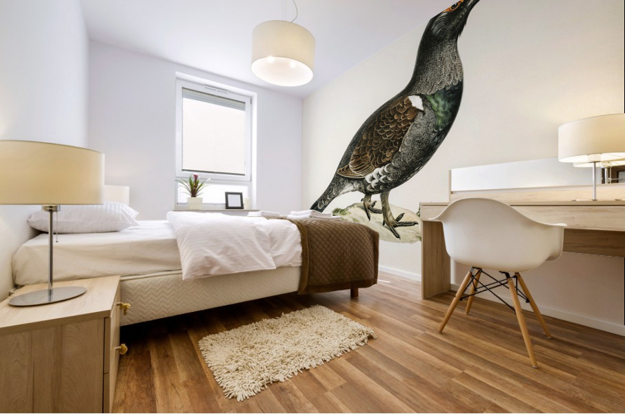 Western capercaillie TETRAO UROGALLUS Mural print