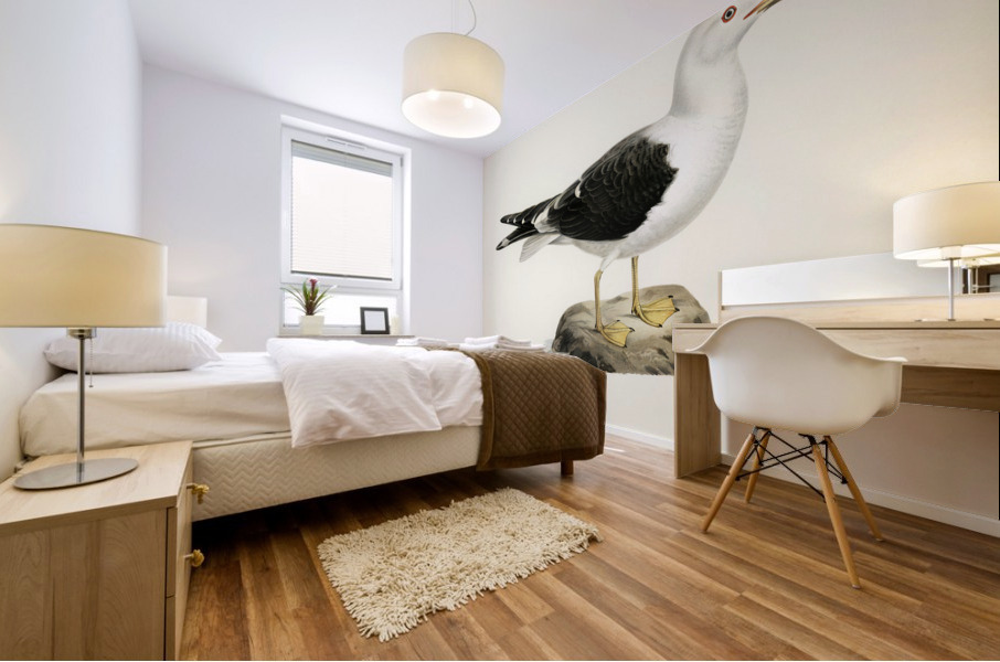 Lesser blak-backed gull Larus fuscus Mural print