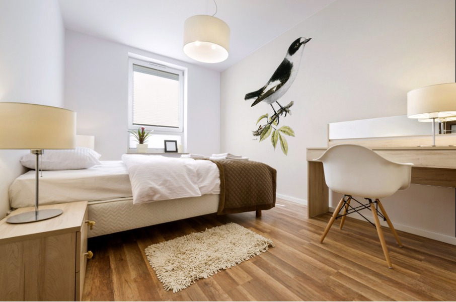 Collared flycatcher Muscicapa collaris Mural print