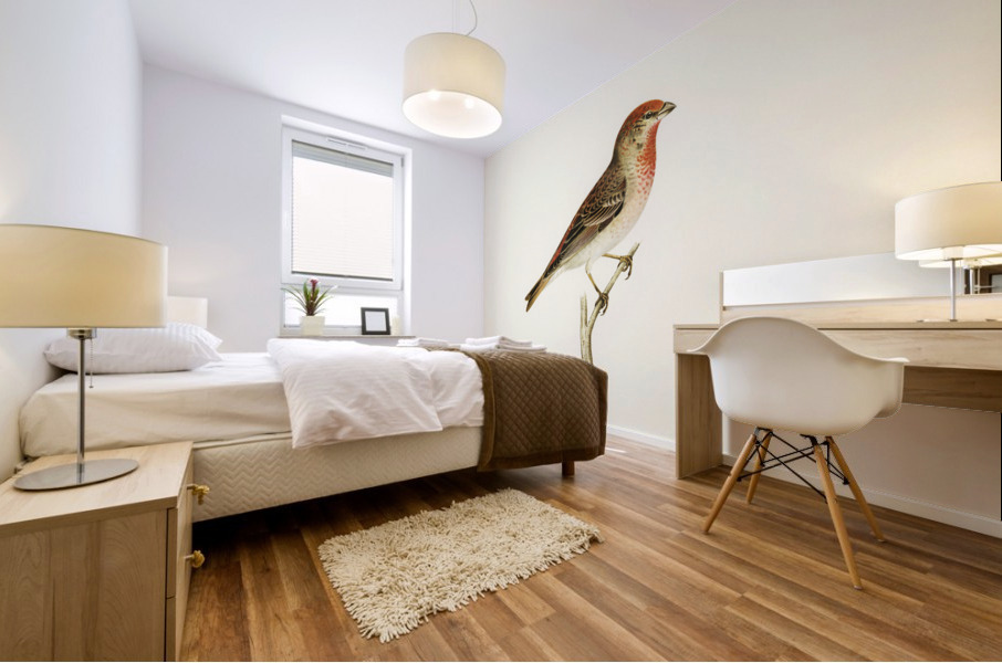 Common rosefinch male Carpodacus erythrinus Mural print