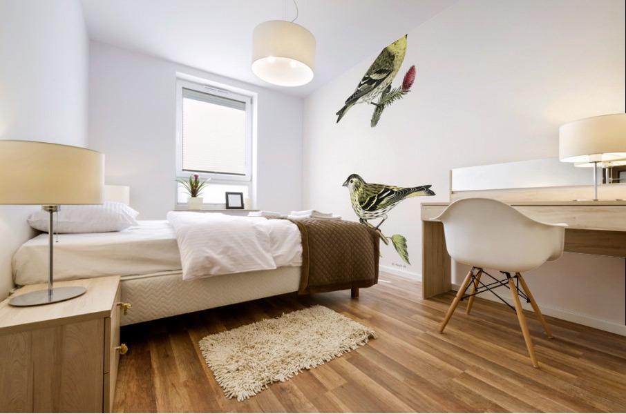 Siskin  Spinus spinus 1♂ 2♀ Mural print