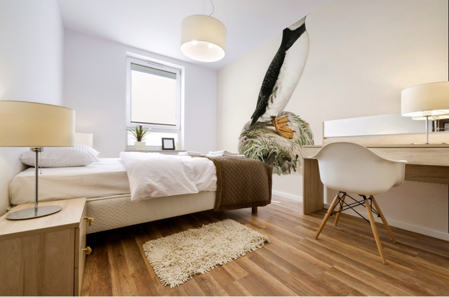 Atlantic puffin Fratercula arctica Mural print