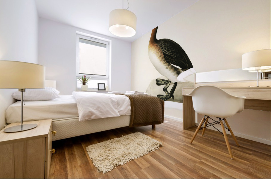 Red-necked grebe male Odiceps grisegena Mural print