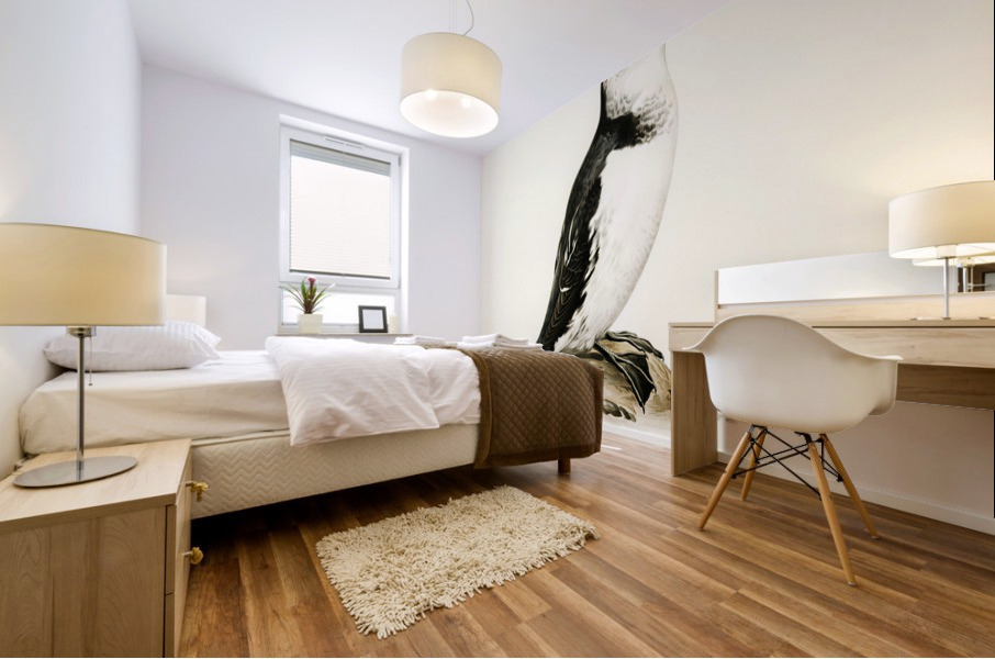 Little auk Alle alle Mural print