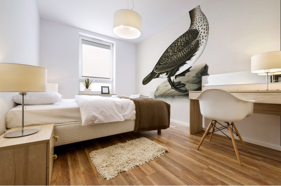 Great cormorant Phalacrocorax Carbo Mural print