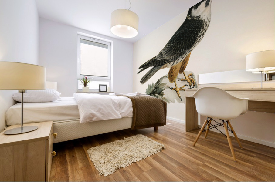 Eurasian Hobby Falco subbuteo Mural print