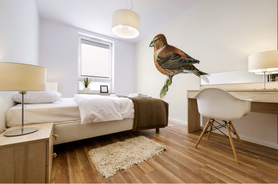 Parrot Crossbill ♂ Loxia pytyopsittacus Mural print