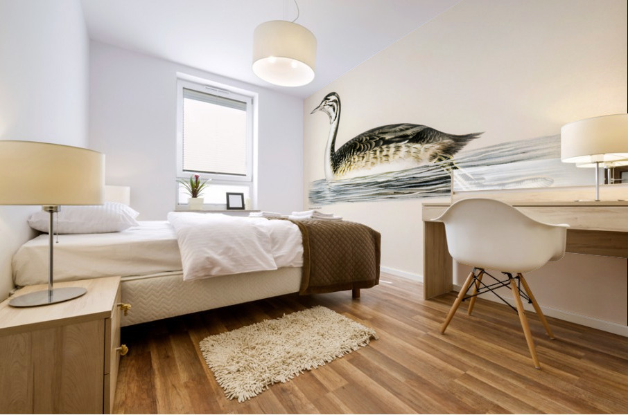 Podiceps Cristatus Mural print