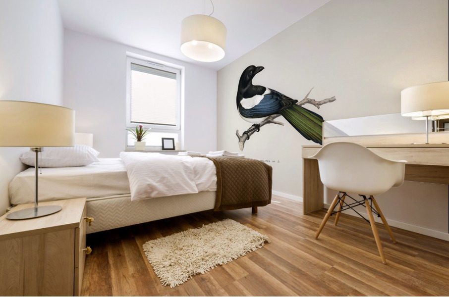 Eurasian magpie PICA PICA Mural print