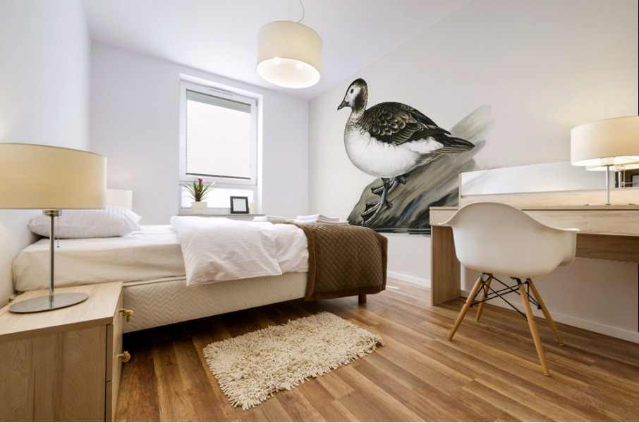 Harelda Hyemalis Mural print