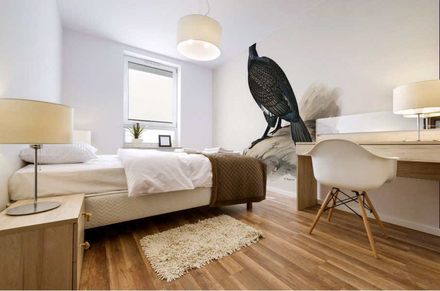 Great cormoran Phalacrocorax Carbo Mural print