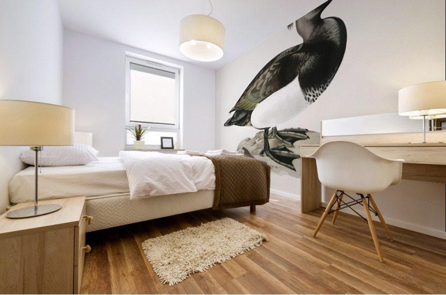 Ferruginous duck male Nyroca fuligule Mural print