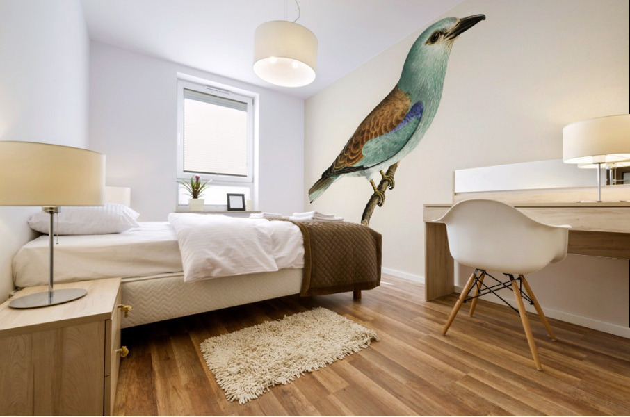 European roller CORACIAS GARRULUS Mural print