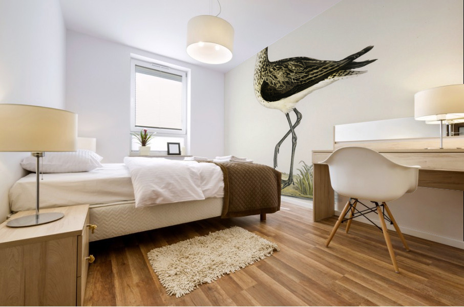 Greenshank Totanus Littoreus Mural print