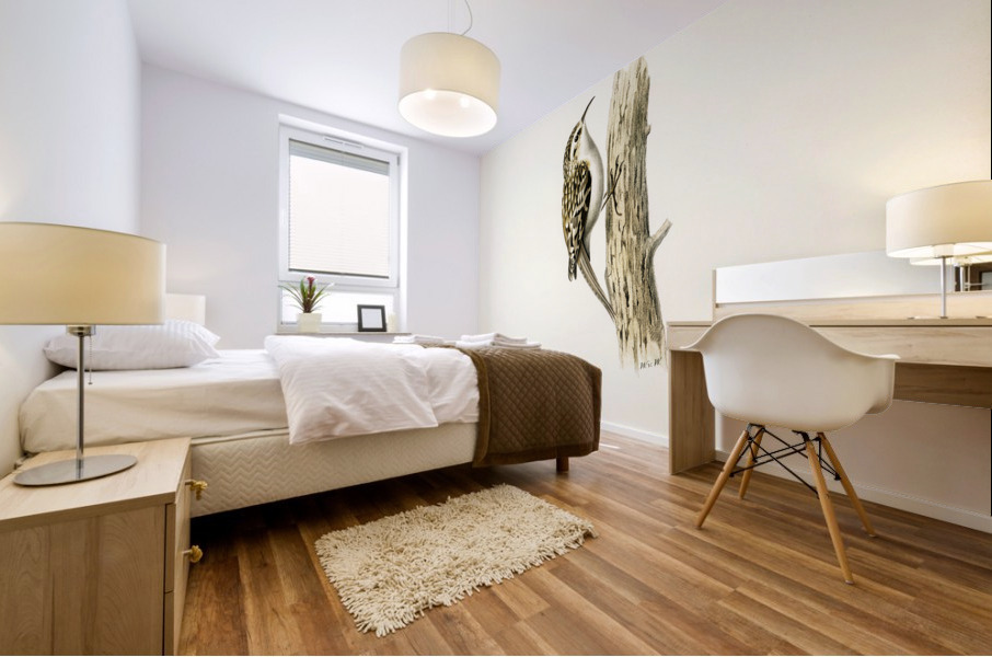 Eurasian treecreeper Certhia familiaris Mural print