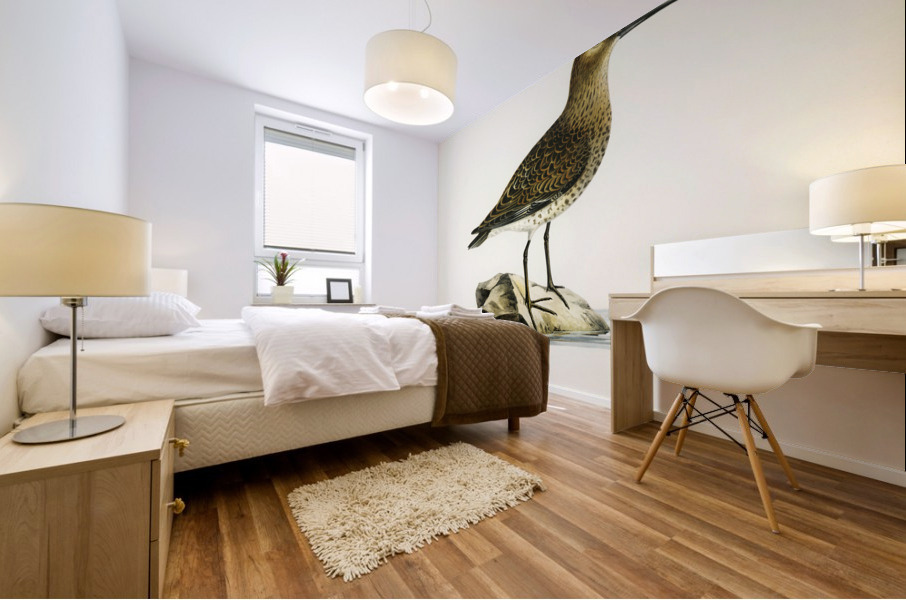 Dunlin Tringa Alpina Mural print