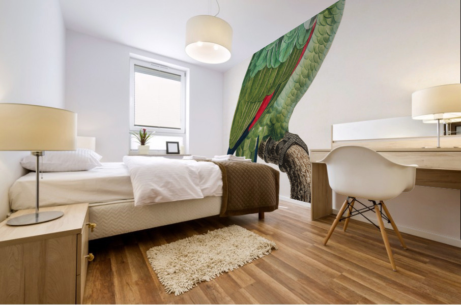 Red-and-blue amazon  Impression murale