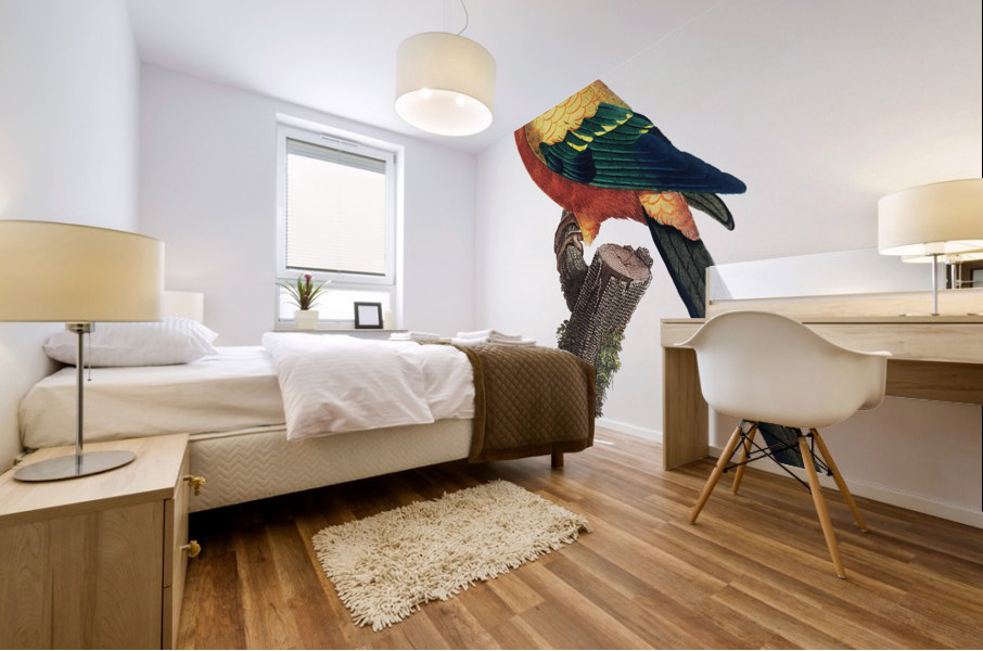 Sun parakeet  Mural print