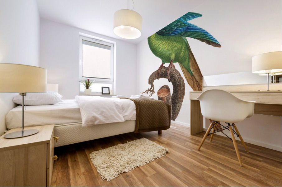 Peach-fronted conure  Mural print