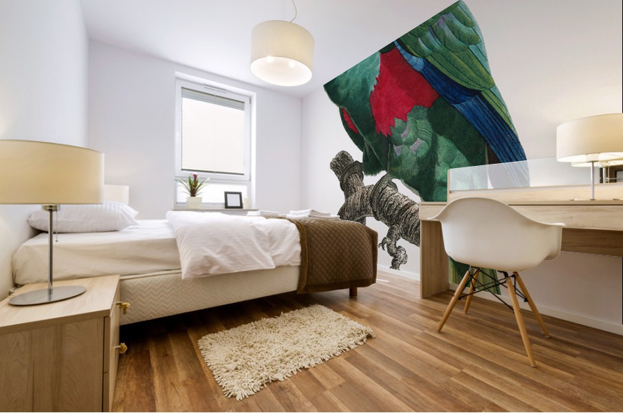 Eclectus parrot  Mural print
