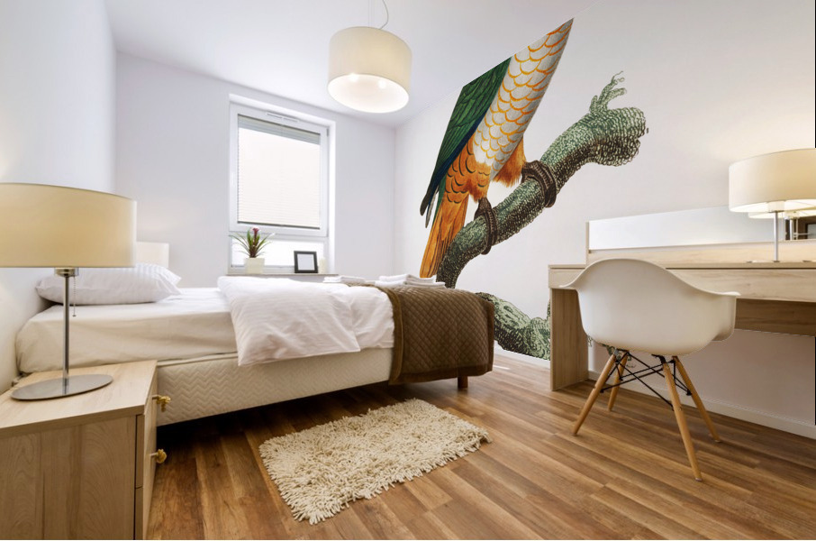 Black-headed caique  Mural print