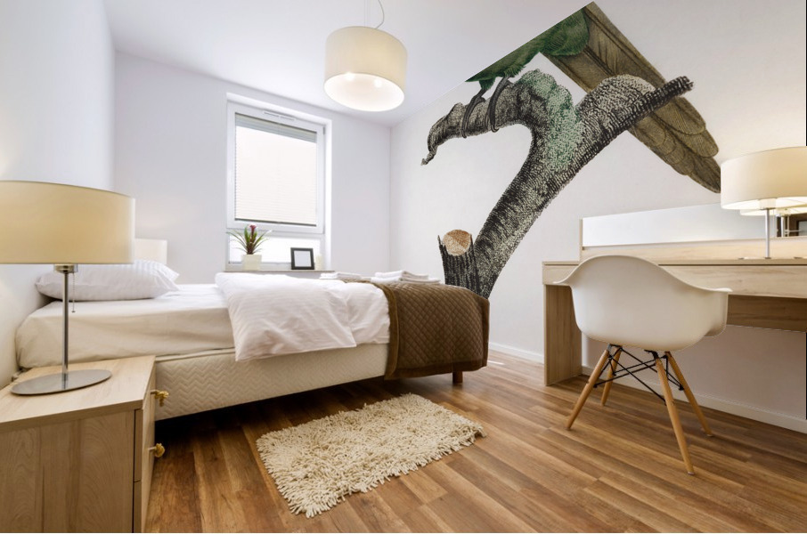 Yellow-crowned parakeet  Mural print