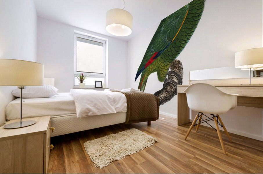 Red-lored parrot  Mural print