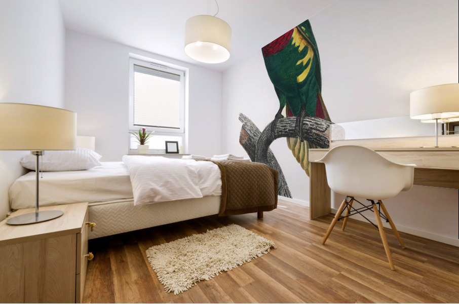 Blue-headed pied lorikeet  Mural print