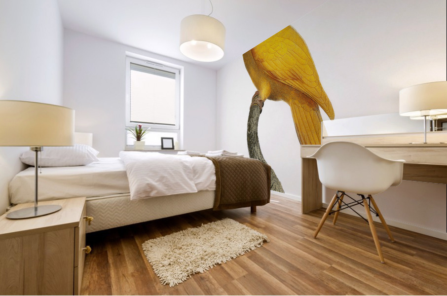 Lessons parrotlet  Mural print